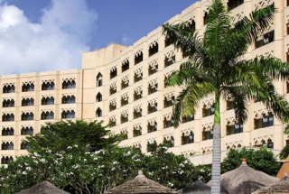 Royal Palm